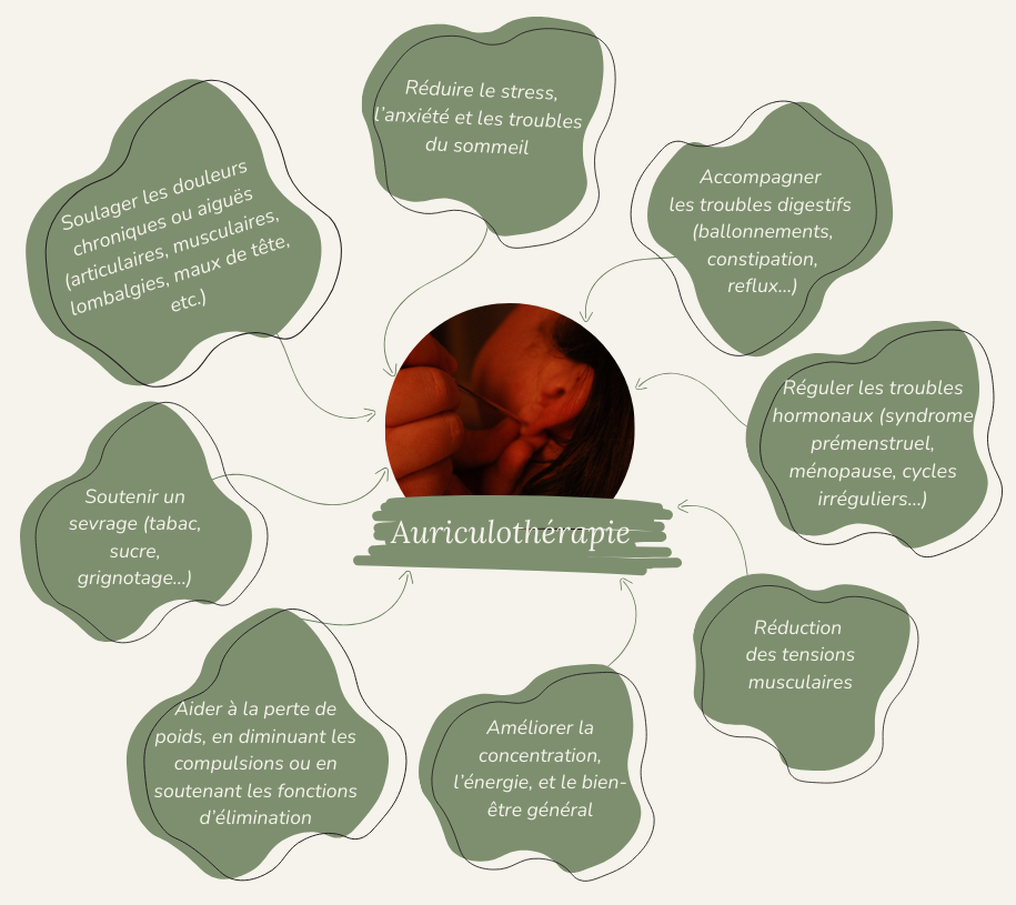 les bienfait de l'auriculothérapie